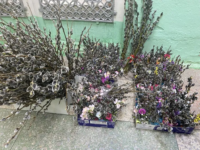 image-06-04-26-08-42