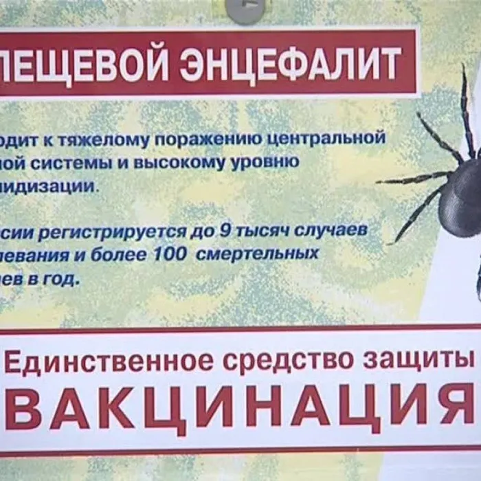 Информация об эпидемиологической ситуации по клещевым инфекциям